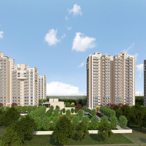 Ashiana Mulberry, Sohna, Gurugram