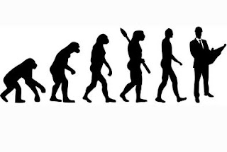 architect architecture evolution 73517215